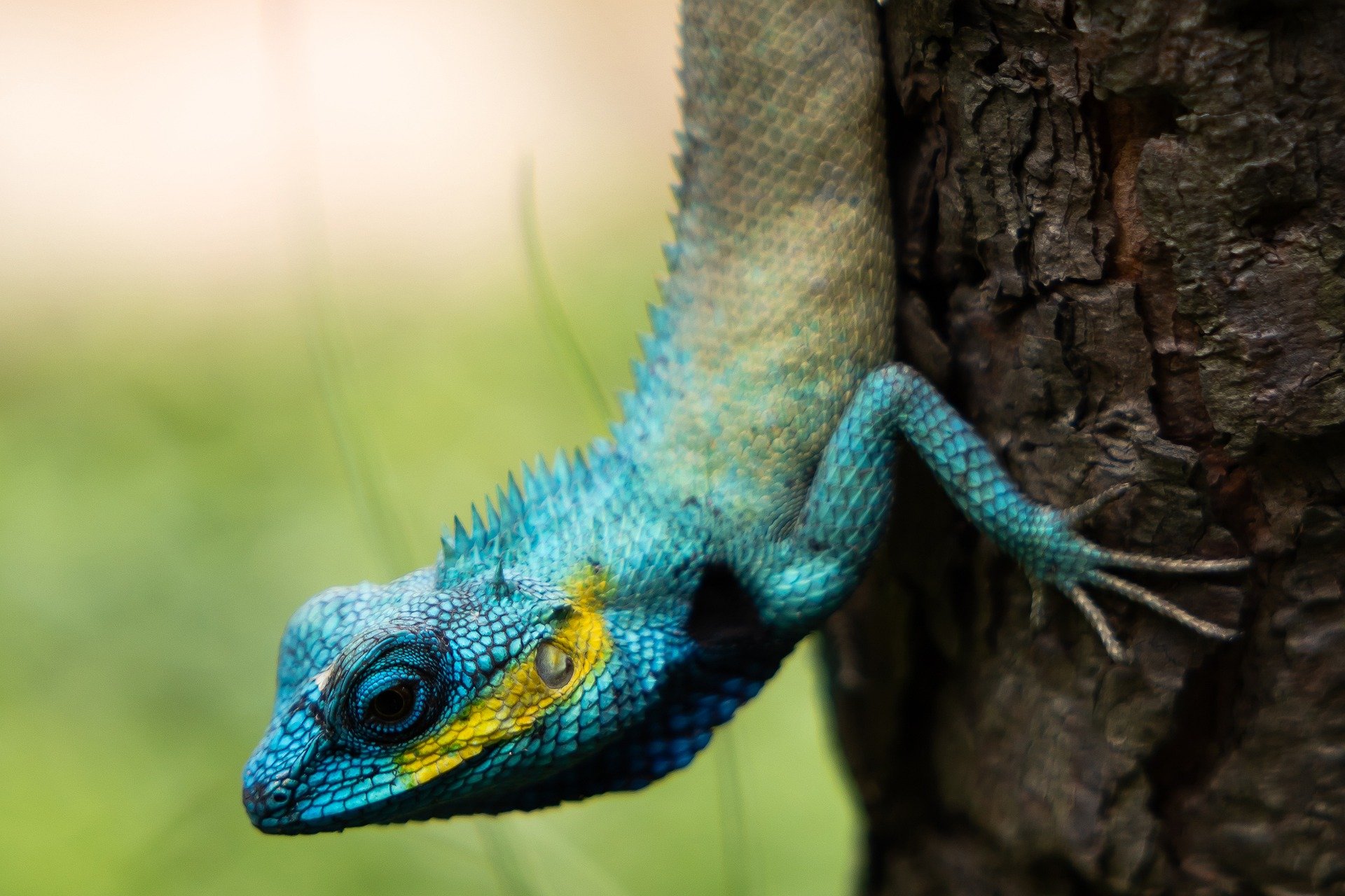 Fotografia Marek Láska